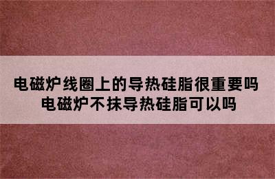 电磁炉线圈上的导热硅脂很重要吗 电磁炉不抹导热硅脂可以吗